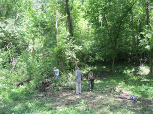 Work began at 8:00 am. We resumed where we left off last week along Karnes. Here Paul Pearce and Scott Burnett are aided by one of the sponsored workers in continuing to clear the area west of the previously “liberated” cottonwood. There’s a spring nearby that feeds a marsh that is frequented by a variety of birds.