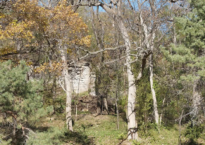 The curtain goes up on a cliff below Coleman Highlands, formerly hidden from view by invasive honeysuckle.