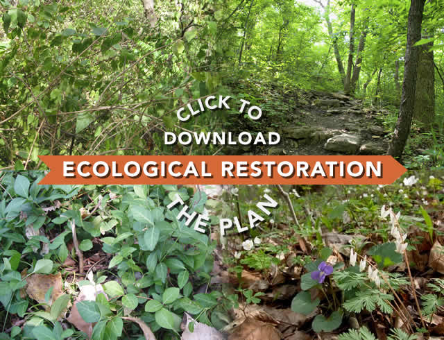 Ecological Restoration: Click to get The Plan