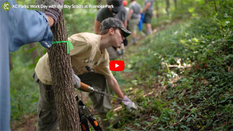 CLICK TO WATCH: New Trail Workday with Boy Scouts