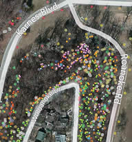 The Roanoke Park Tree Inventory on ArcGIS.com: http://tinyurl.com/RP-Trees-2012 Click above to see how it works, then go try it yourself.